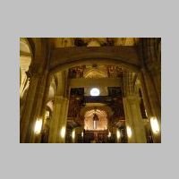 Tui, photo juantiagues, Wikipedia,2.jpg